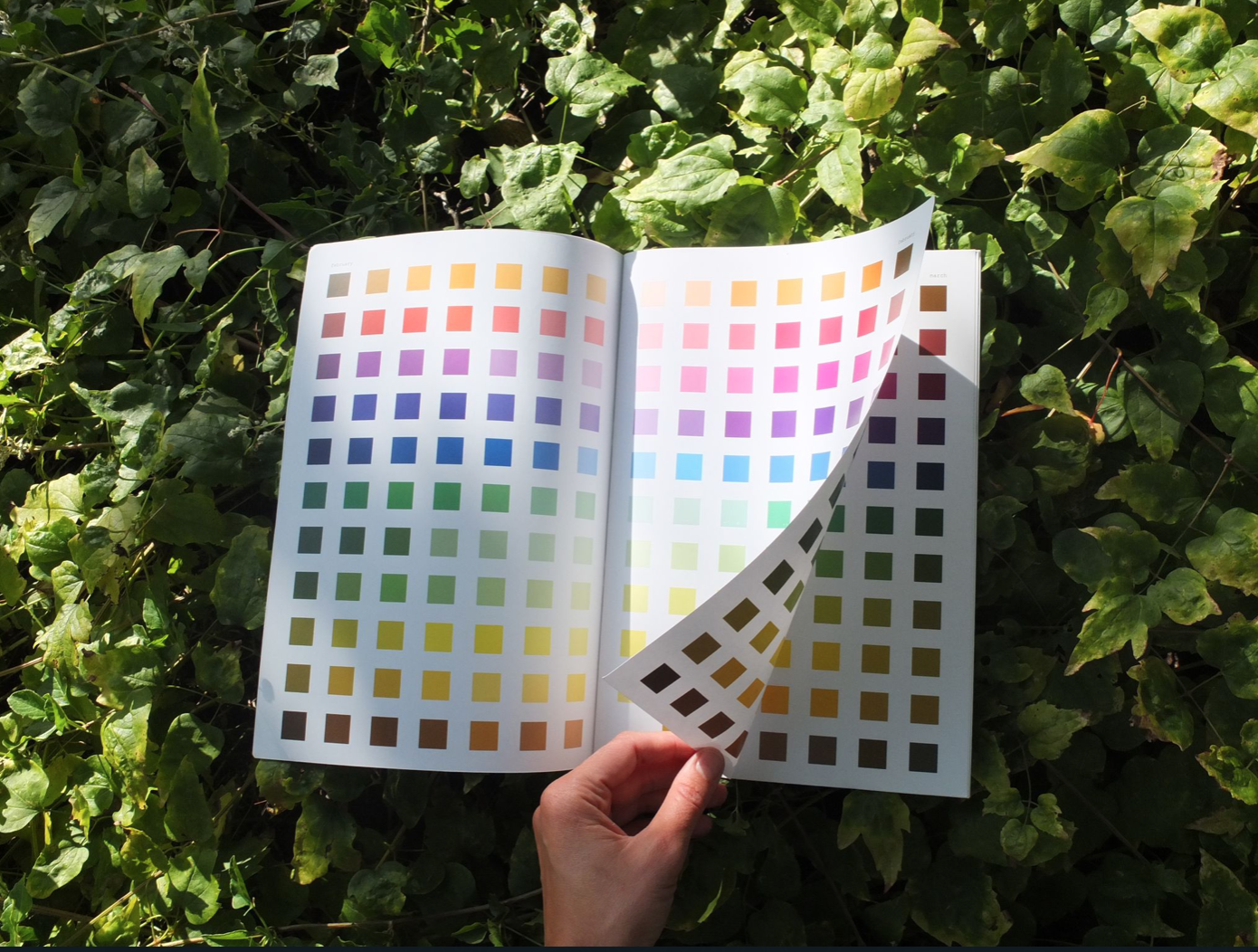 'Garden Journal through Colour' by Sanne Vaassen